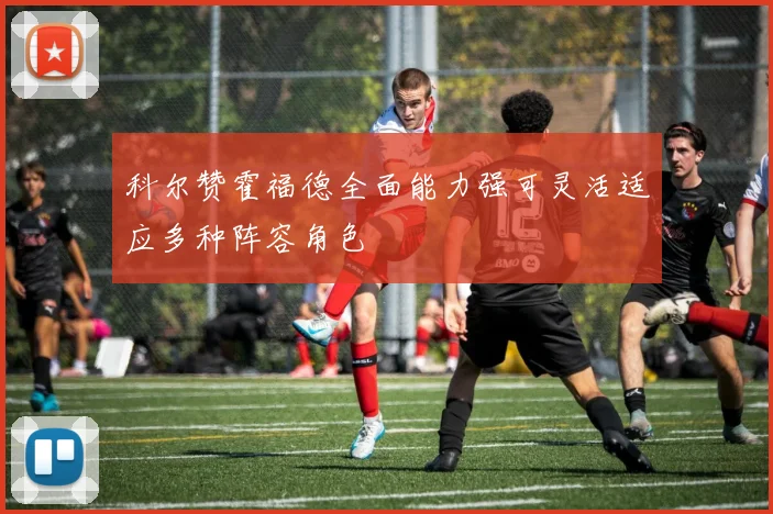 科尔赞霍福德全面能力强可灵活适应多种阵容角色