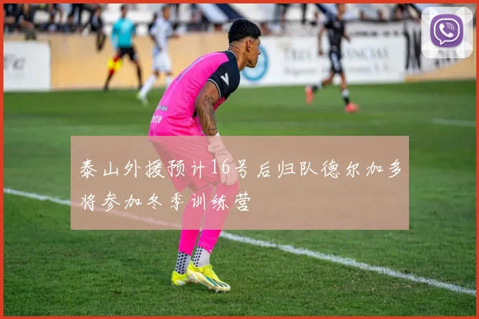 泰山外援预计16号后归队德尔加多将参加冬季训练营