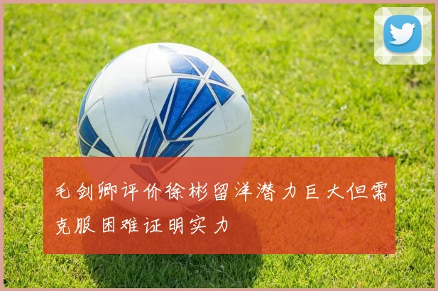 毛剑卿评价徐彬留洋潜力巨大但需克服困难证明实力